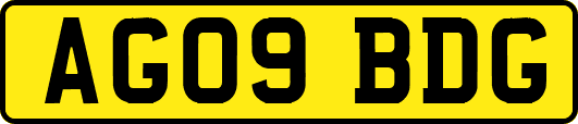 AG09BDG