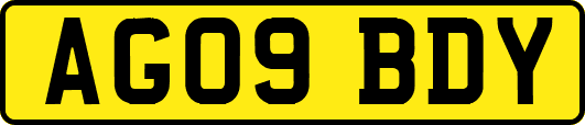 AG09BDY