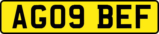 AG09BEF