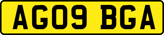 AG09BGA