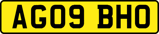 AG09BHO