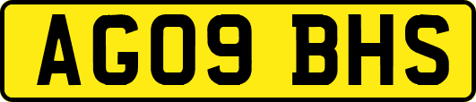 AG09BHS