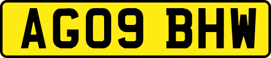 AG09BHW