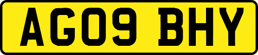 AG09BHY