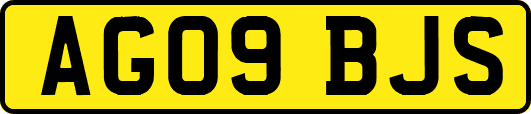 AG09BJS