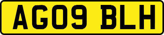 AG09BLH