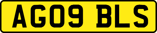 AG09BLS