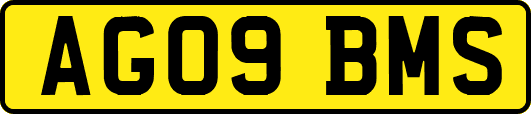 AG09BMS