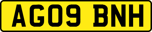AG09BNH