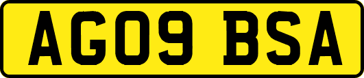 AG09BSA