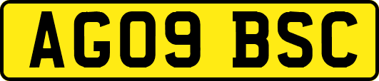 AG09BSC