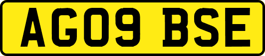 AG09BSE