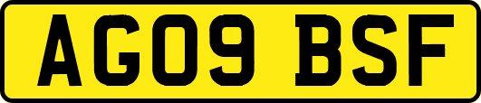 AG09BSF