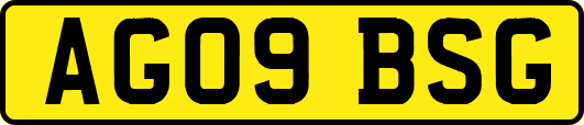 AG09BSG