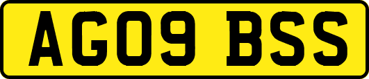 AG09BSS