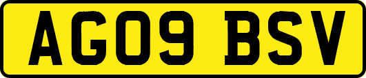 AG09BSV