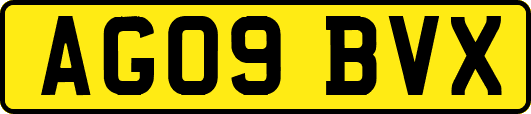 AG09BVX