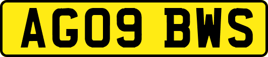 AG09BWS