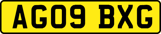 AG09BXG