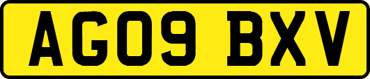 AG09BXV