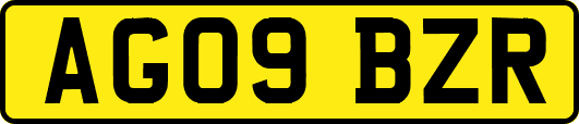 AG09BZR