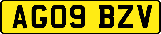 AG09BZV
