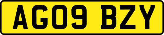 AG09BZY
