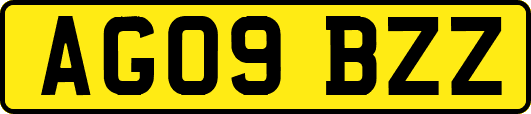 AG09BZZ