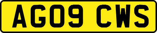 AG09CWS