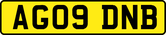 AG09DNB