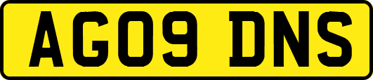 AG09DNS