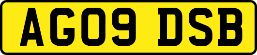 AG09DSB