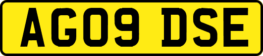 AG09DSE