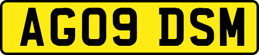 AG09DSM