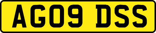 AG09DSS
