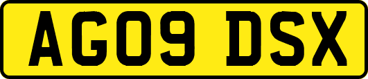AG09DSX