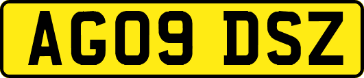 AG09DSZ