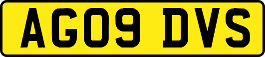 AG09DVS