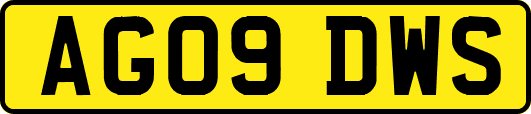 AG09DWS