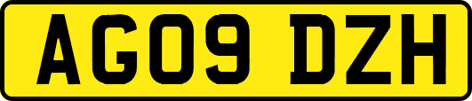 AG09DZH