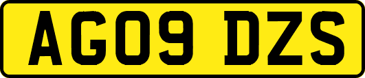 AG09DZS