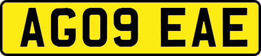 AG09EAE