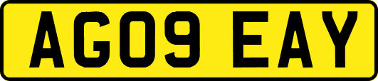 AG09EAY