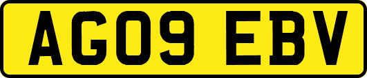 AG09EBV