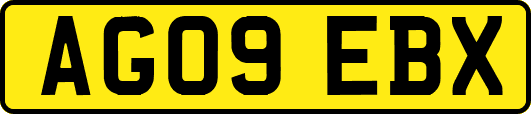 AG09EBX