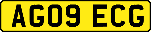 AG09ECG