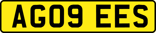 AG09EES