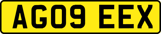 AG09EEX