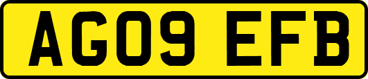 AG09EFB