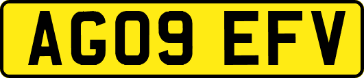 AG09EFV